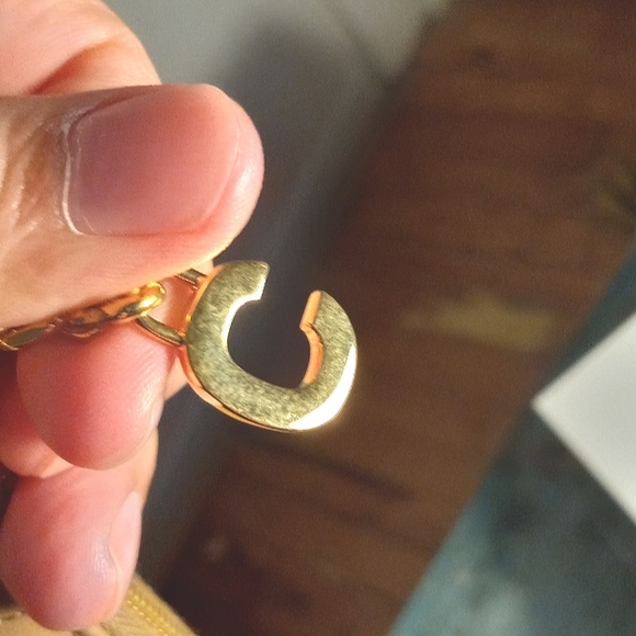 Celine pouch - Picture 7 of 16